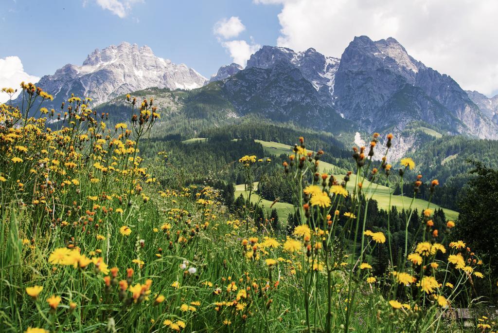 Appartementhaus Salzmann ลีโอกัง ภายนอก รูปภาพ